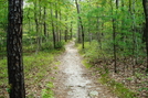 A. T. On Chinquapin Hill, Caledonia State Park, P A, 09/04/10 by Irish Eddy in Views in Maryland & Pennsylvania