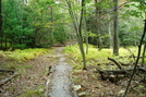 A. T. North Of Locust Gap Road, P A, 09/04/10