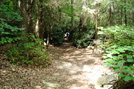 A. T. North Of Locust Gap Road, P A, 09/04/10