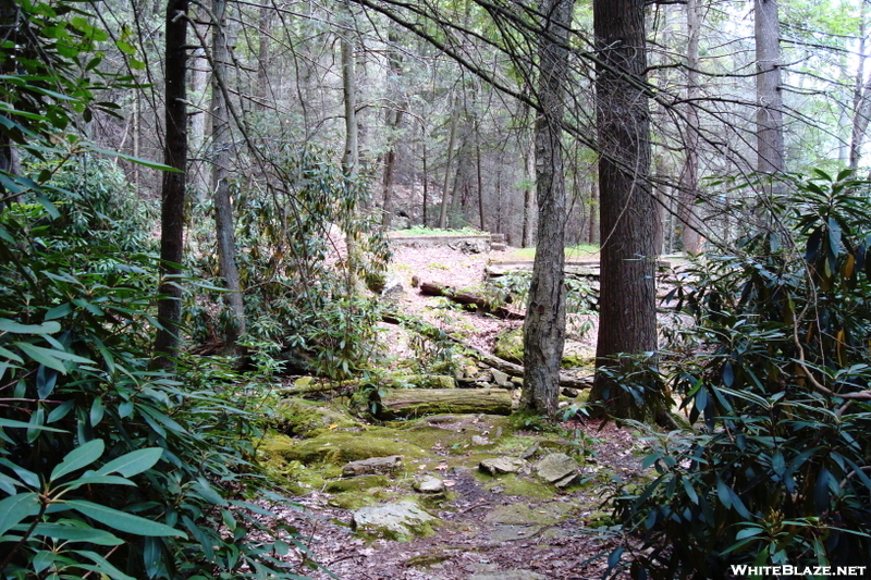 A. T. North Of Locust Gap Road, P A, 09/04/10