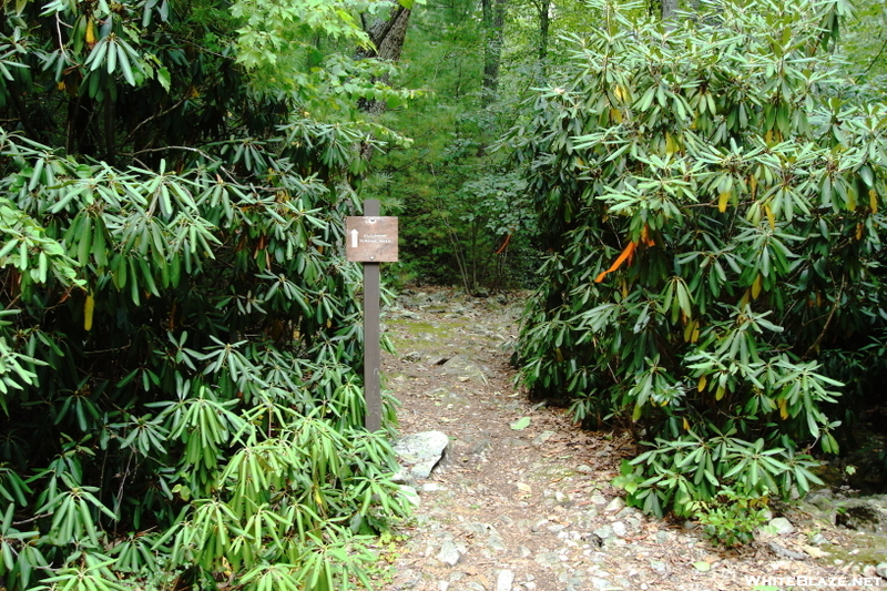 Quarry Gap Shelter, P A, 09/04/10