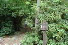 Quarry Gap Shelter, P A, 09/04/10