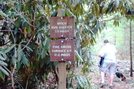 Trail Marker At Quarry Gap Shelter, P A, 09/04/10