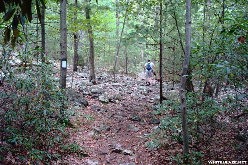 A. T. North Of Quarry Gap Shelter, P A, 09/04/10