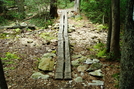 A. T. North Of Quarry Gap Shelter, P A, 09/04/10 by Irish Eddy in Views in Maryland & Pennsylvania