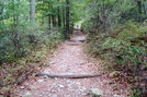 A. T. Ascent Of Big Pine Flat Ridge, P A, 09/04/10 by Irish Eddy in Views in Maryland & Pennsylvania