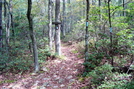 A. T. And Hosack Run Trail Junction, P A, 09/04/10 by Irish Eddy in Views in Maryland & Pennsylvania