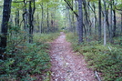 A. T. Ascent Of Big Pine Flat Ridge, P A, 09/04/10 by Irish Eddy in Views in Maryland & Pennsylvania