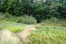 Power Line Crossing North Of Sandy Sod Junction, Pa, 09/04/10 by Irish Eddy in Views in Maryland & Pennsylvania