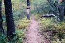 A. T. North Of Methodist Hill, P A, 09/04/10 by Irish Eddy in Views in Maryland & Pennsylvania