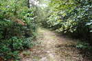 A. T. North Of Methodist Hill, P A, 09/04/10 by Irish Eddy in Views in Maryland & Pennsylvania