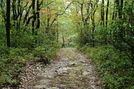 A. T. And Rhododendron Trail Junction, P A, 09/04/10 by Irish Eddy in Views in Maryland & Pennsylvania