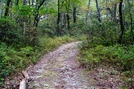 A. T. And Rhododendron Trail Junction, P A, 09/04/10 by Irish Eddy in Views in Maryland & Pennsylvania