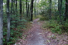 A. T. And Rhododendron Trail Junction, P A, 09/04/10 by Irish Eddy in Views in Maryland & Pennsylvania