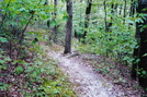 A. T. North Of Means Hollow Road, P A, 09/04/10 by Irish Eddy in Views in Maryland & Pennsylvania