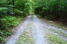 Driveway At Milesburn Cabin, P A, 09/04/10 by Irish Eddy in Views in Maryland & Pennsylvania