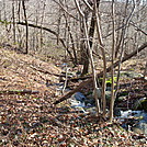 A.T. Near Dead Woman Hollow, P A, 11/25/11 by Irish Eddy in Views in Maryland & Pennsylvania