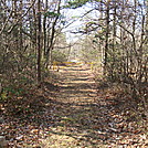 Gravel Road to Michener Cabin, PA, 11/25/11 by Irish Eddy in Views in Maryland & Pennsylvania