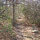 Gravel Road to Michener Cabin, PA, 11/25/11 by Irish Eddy in Views in Maryland & Pennsylvania