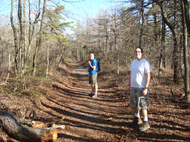 Hooligan and Misfit on the A.T. and Gravel Road to Michener Cabin, PA, 11/25/11