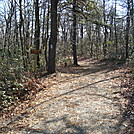 Side Trail To Michener Cabin, PA, 11/25/11 by Irish Eddy in Views in Maryland & Pennsylvania