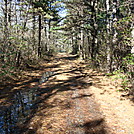 A.T. North Of Michener Cabin Side Trail, PA, 11/25/11