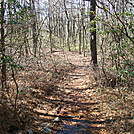 A.T. North Of Side Trail To Michener Cabin, PA, 11/25/11