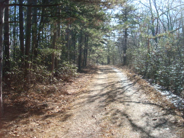 A.T. North Of Side Trail To Michener Cabin, PA, 11/25/11