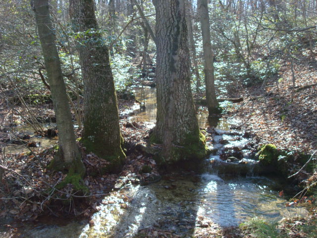 First A.T. Crossing Of Toms Run, PA, 11/25/11