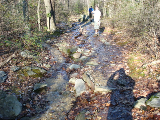 A.T. Near Big Hill, PA, 11/25/11