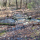 Toms Run Shelter, PA, 11/25/11