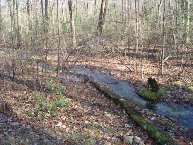 Toms Run Shelter, PA, 11/25/11