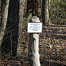 Reforestation Area At Toms Run Shelters, PA, 11/25/11 by Irish Eddy in Views in Maryland & Pennsylvania