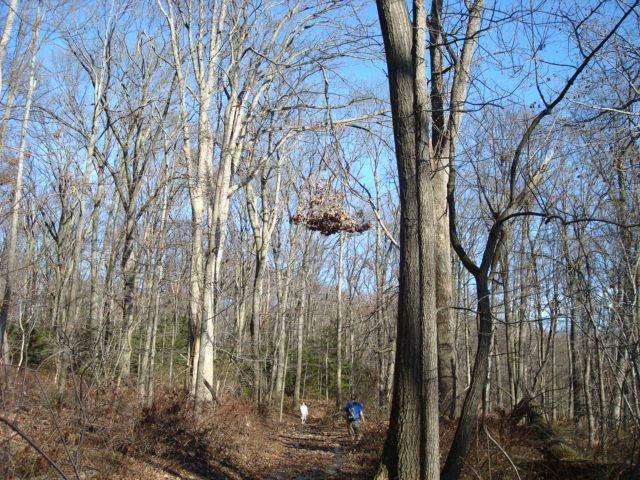 A.T. North Of Midpoint Marker, PA, 11/25/11