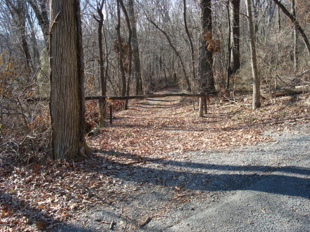 A.T. Crossing At Michaux Road, PA, 11/25/11