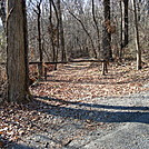 A.T. Crossing At Michaux Road, PA, 11/25/11