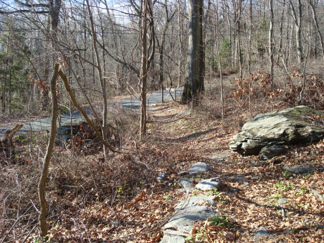 A.T. Crossing At Michaux Road, PA, 11/25/11