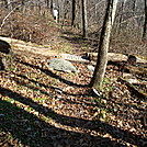 A.T. North Of Michaux Road, PA, 11/25/11 by Irish Eddy in Views in Maryland & Pennsylvania