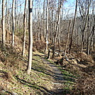 A.T. North Of Michaux Road, PA, 11/25/11