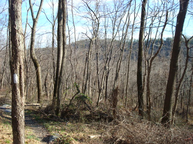 A.T. North Of Michaux Road, PA, 11/25/11