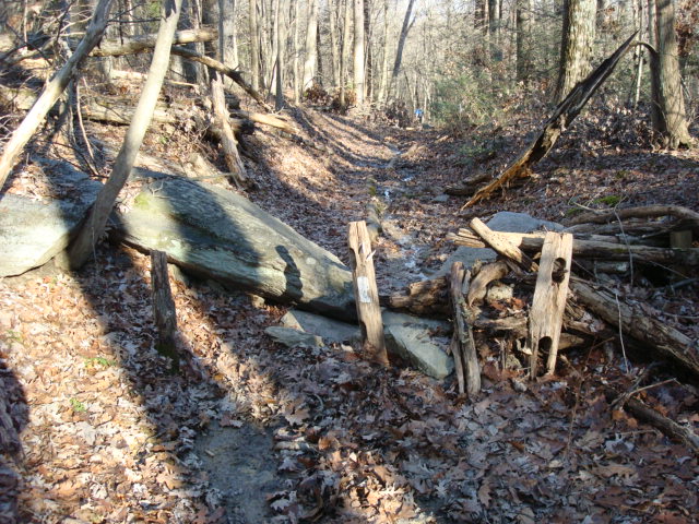 A.T. At Old Shippenburg Road Crossing, PA, 11/25/11