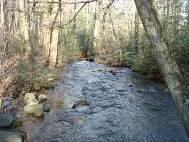 A.T. Fourth Crossing Of Toms Run, PA, 11/25/11