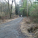 A.T. On Little Rocky Ridge, PA, 11/25/11