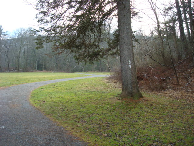 A.T. In Pine Grove Furnace State Park, PA, 12/30/11