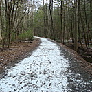 A.T. Junction With Swamp Trail, PA, 12/30/11