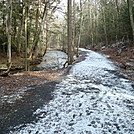 A.T. In Pine Grove Furnace State Park, PA, 12/30/11 by Irish Eddy in Views in Maryland & Pennsylvania