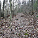 A.T. Ascent Of Piney Mountain, PA, 12/30/11