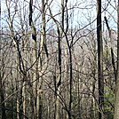 A.T. Ascent Of Piney Mountain, PA, 12/30/11