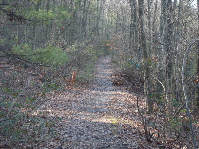 A.T. Ascent Of Piney Mountain, PA, 12/30/11