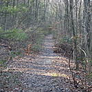 A.T. Ascent Of Piney Mountain, PA, 12/30/11